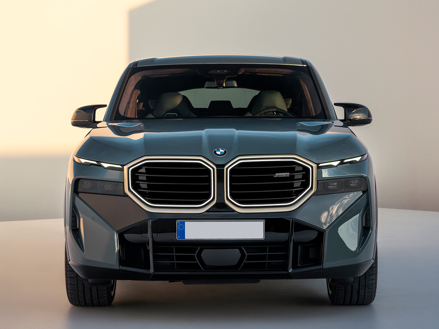 bmw-Nouvelle-XMgallery_5.png